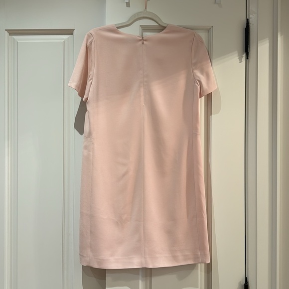Aritzia Baboon Shift Dress in Blush Pink - Picture 4 of 6